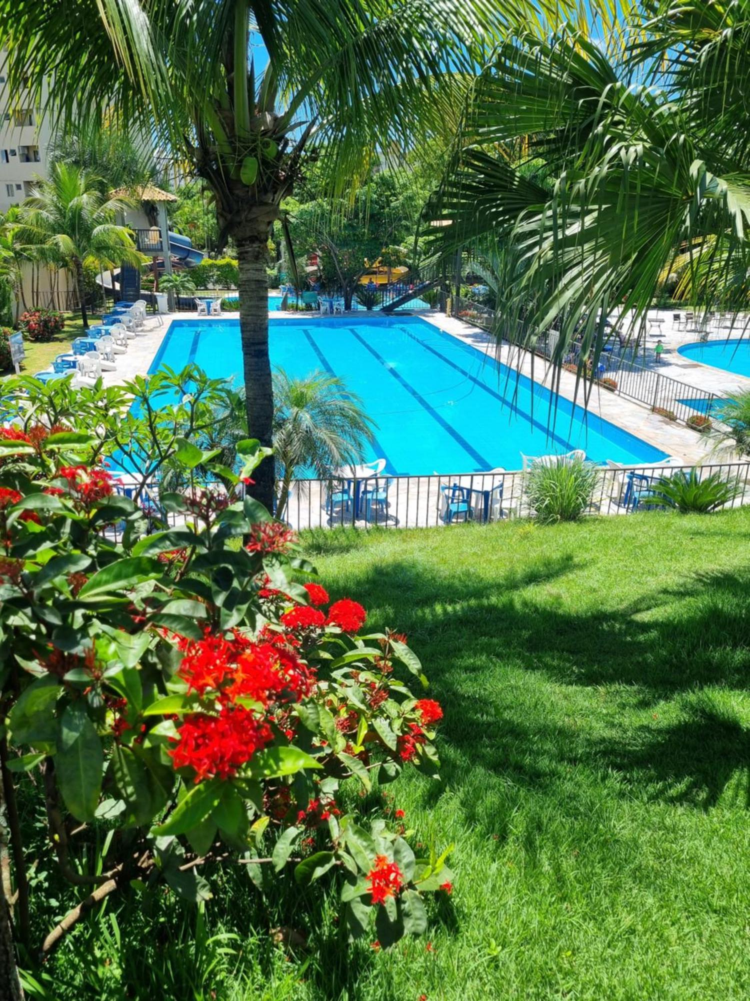 Aparthotel Flat 317 Golden Dolphin Express